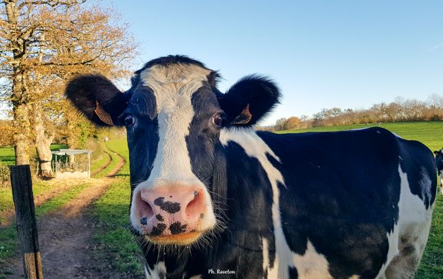 20201118_154649-Modifier