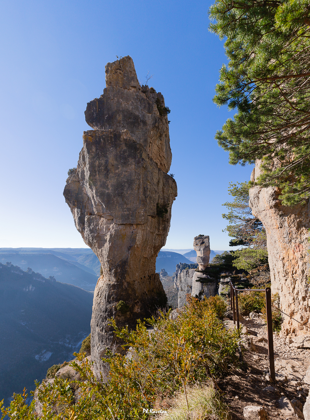 Les vases de Chine et de Sèvres de la Jonte)